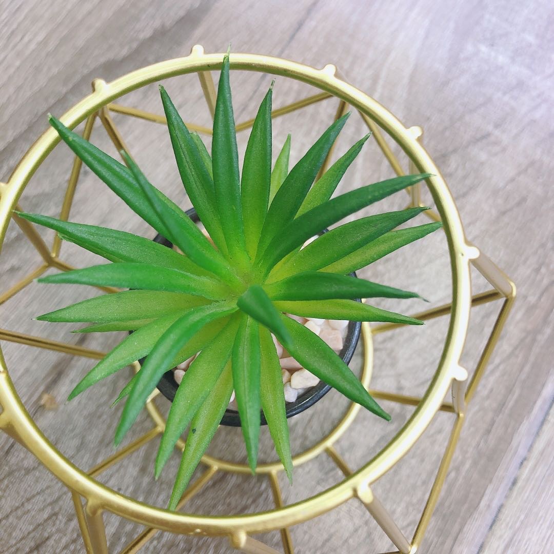 北欧创意铁艺镀金盆栽仿真植物假绿植小摆件不规则视觉仿真盆栽产品图