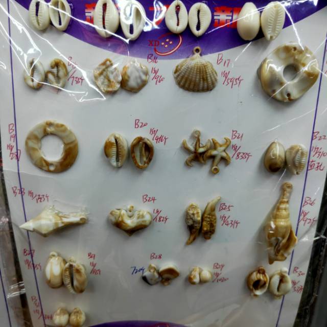 Acrylic shell accessories decoration thumbnail