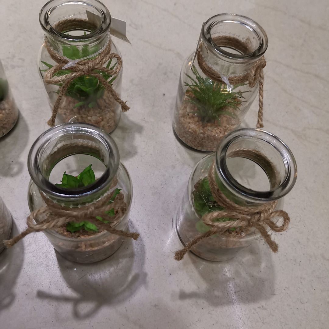 Plastic glass bottle imitation flower and succulent home photography decoration details Picture