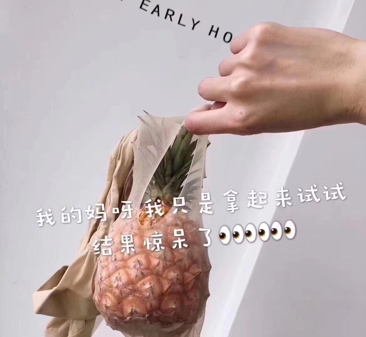 连裤袜任意剪不脱散的丝袜菠萝袜防勾丝超弹力