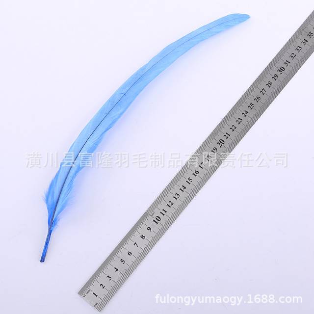 婚庆舞台室内装饰羽毛 30-35cm湖蓝色公鸡尾毛