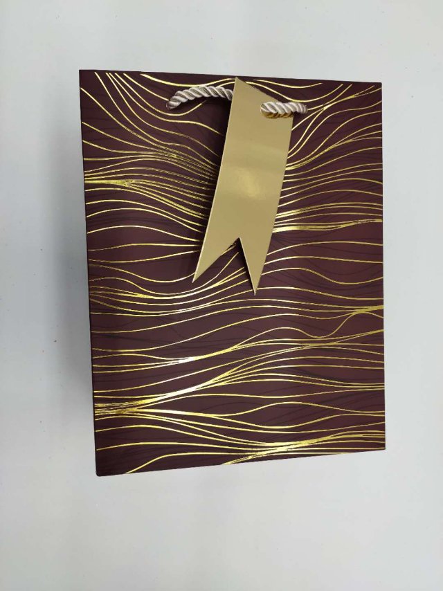 简单批发日常烫金礼品袋四色混服装包装纸袋手提袋细节图