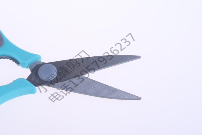 هناك مطبخ مغطى بقص كبير Specification image
