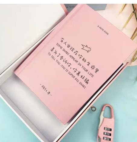 Shibo Internet Celebrity Instagram box Notebook with Lock B6 Box Couple Planner Set Password Book Diary details Picture