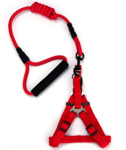 Colorful round-headed dog leash details Picture