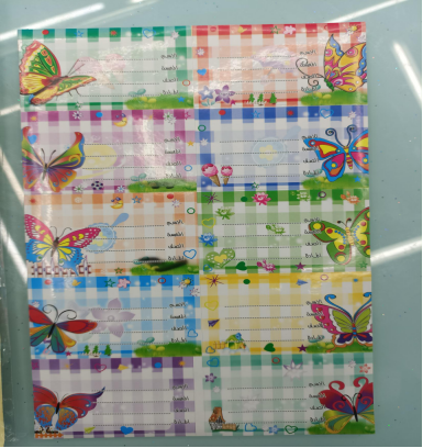 学生姓名贴纸不干胶记号标签贴、隔页记号标签纸、备忘标贴纸加厚加胶