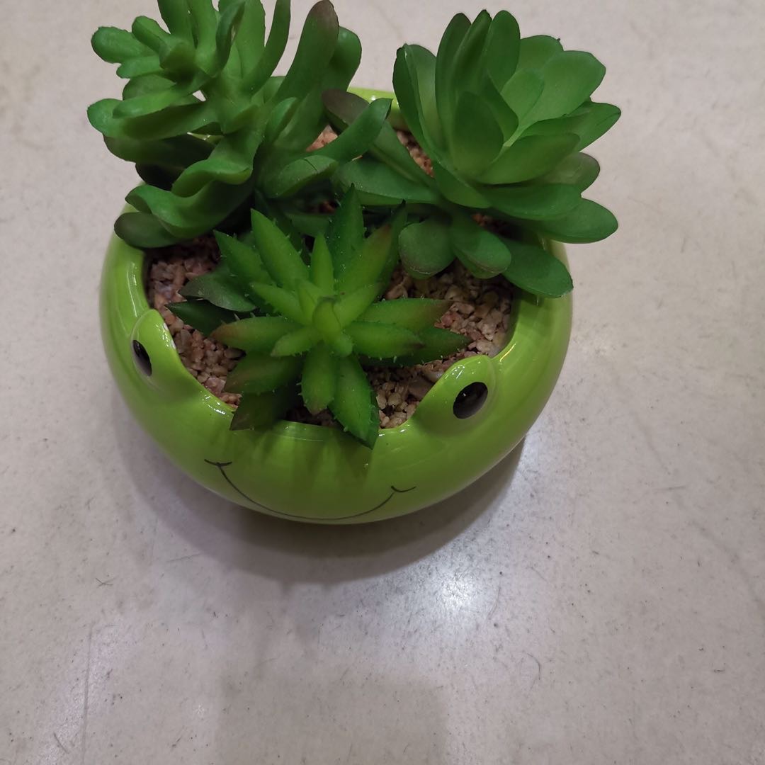 仿真多肉盆栽仿真多肉家居装饰摄影道具48pc