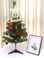 迷你60cm小型圣诞树儿童圣诞节装饰家用摆件场景布置产品图