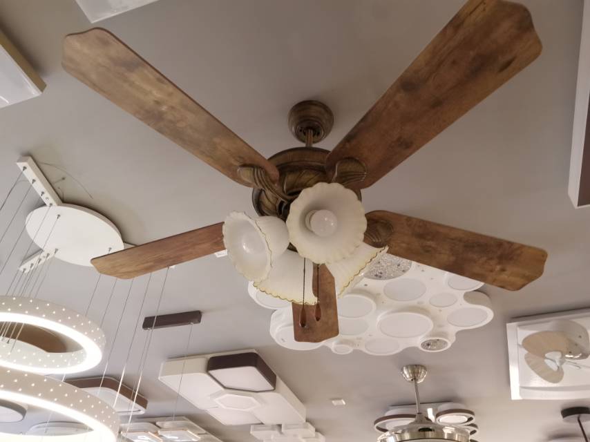 Fan Light Art Light four bulbs Energy saving and environmental protection lamps