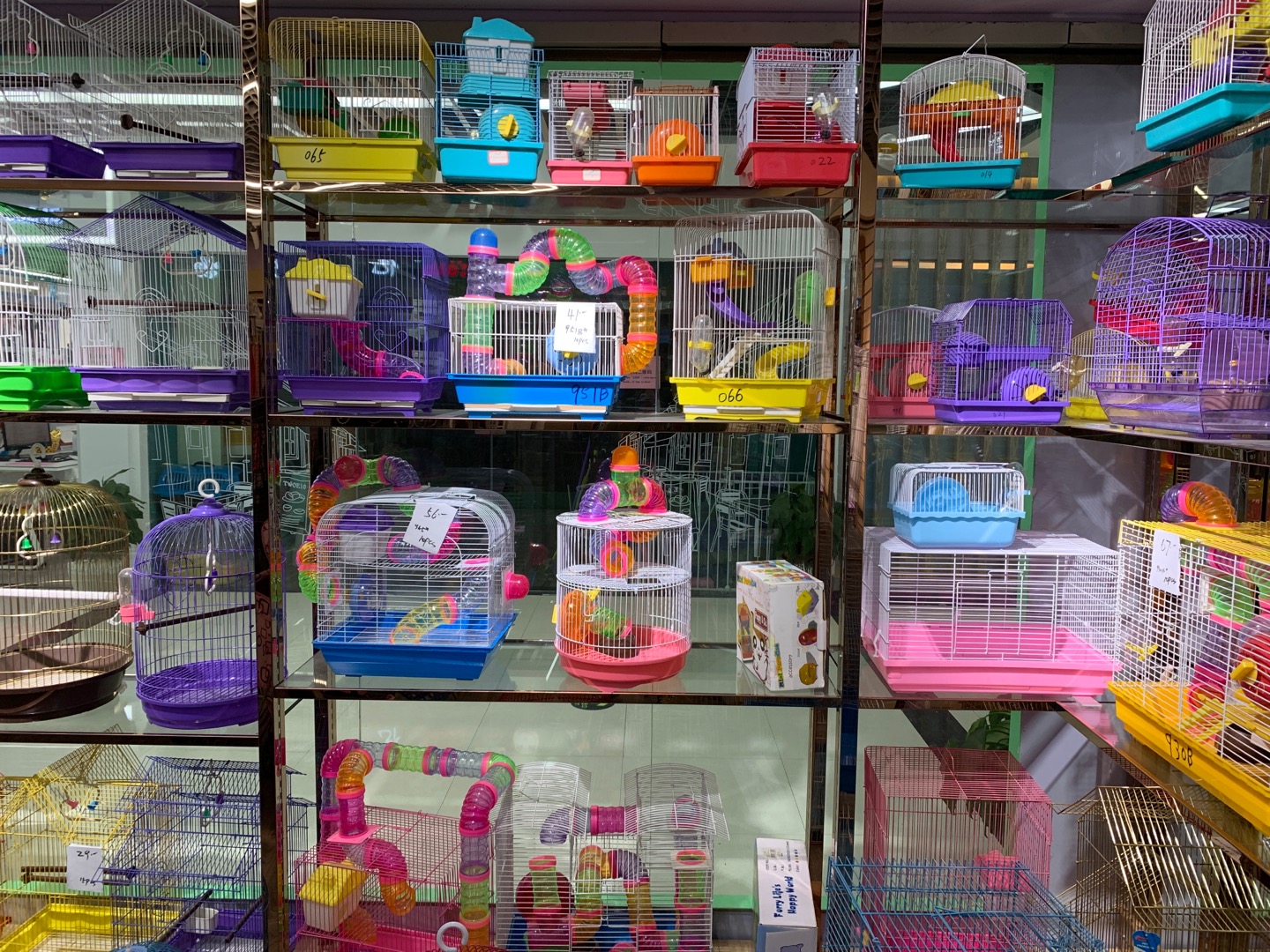 Yijia Pet Supplies Store describe pic - 1