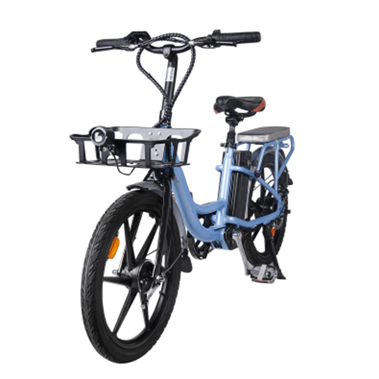 250W36V lithium battery pedal two-seater electric bicycle