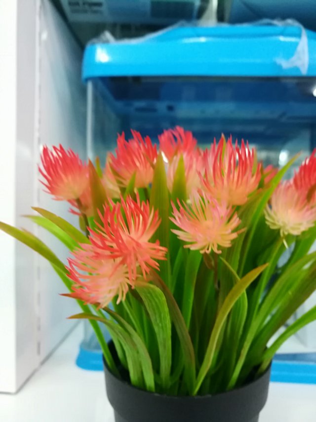 Artificial plant plastic decorative flower small potted plants, artificial Phalaenopsis flower bouquets, calla lilies, asters bonsai, living room ornaments details Picture