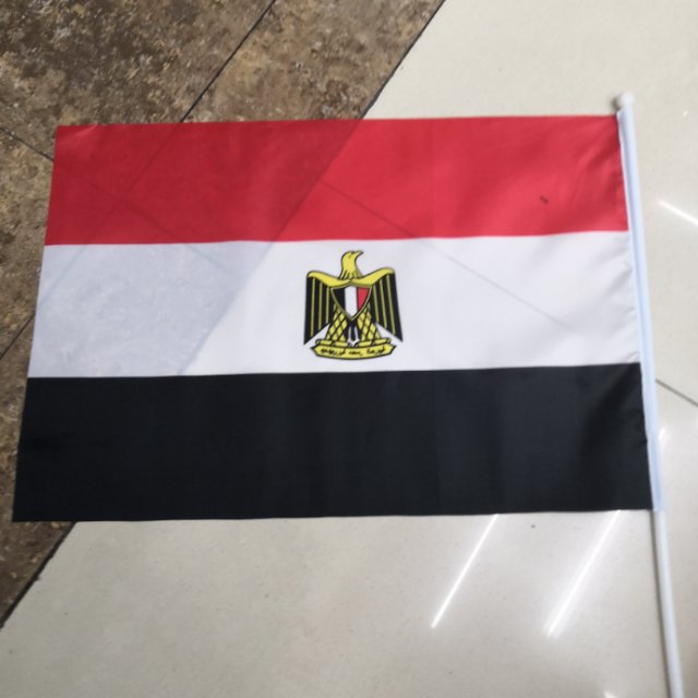 埃及手摇旗手摇埃及旗各国小旗 手挥旗外国旗