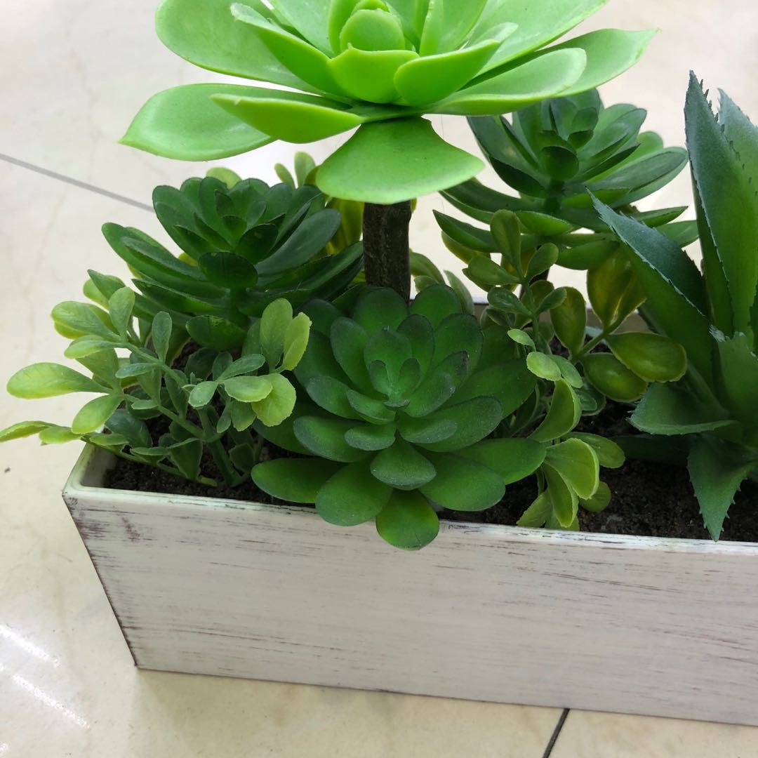 仿真/仿真盆栽/多肉植物产品图