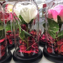 教师节生日玫瑰花带灯玻璃罩摆件元旦礼物创意