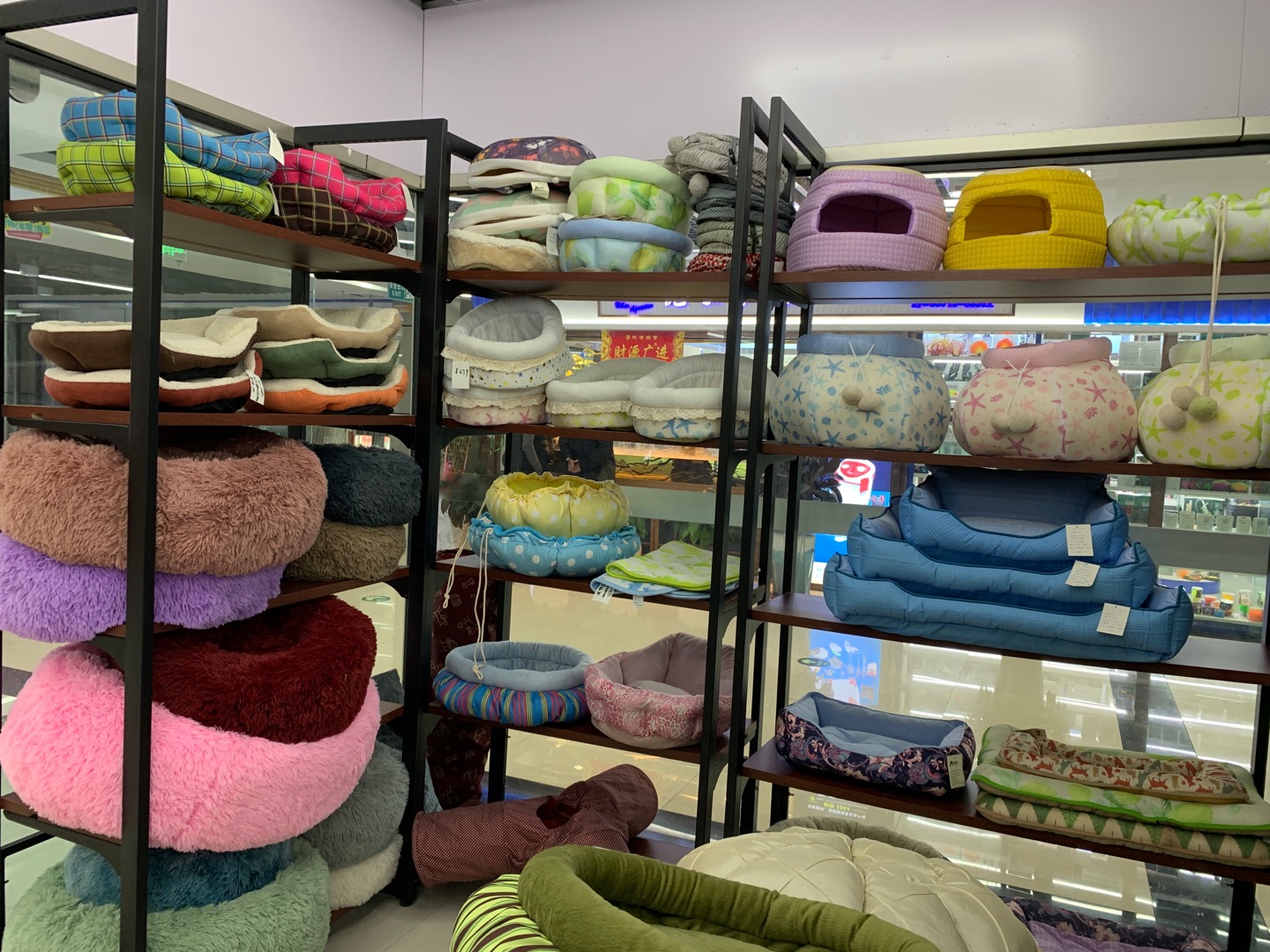 Pet Commune describe pic - 1