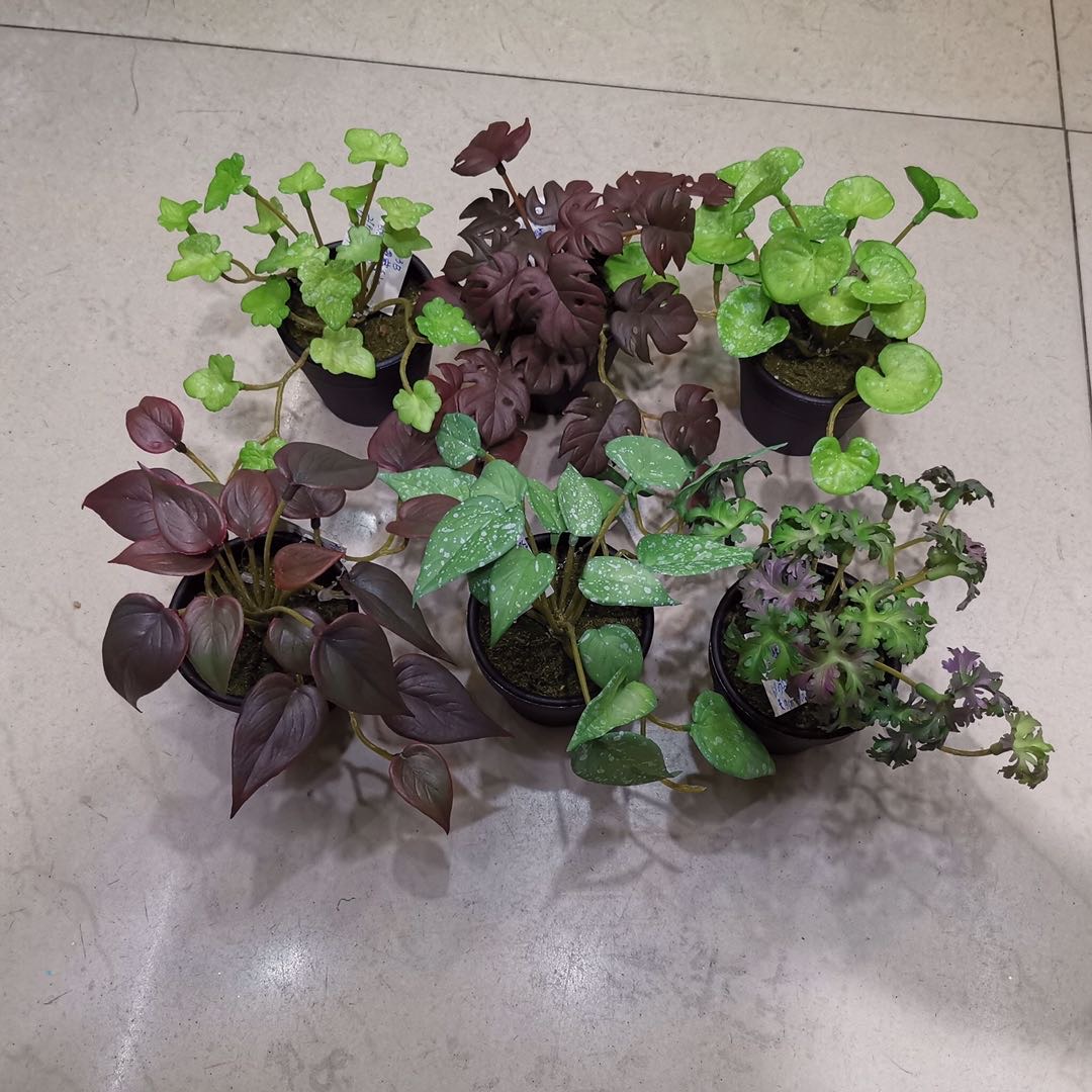 仿真植物带叶塑料盆栽婚庆可混批96pc