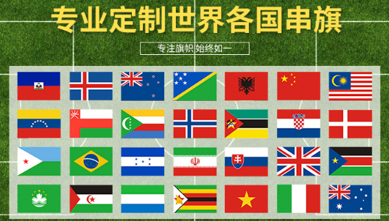 亚洲杯/外国旗细节图