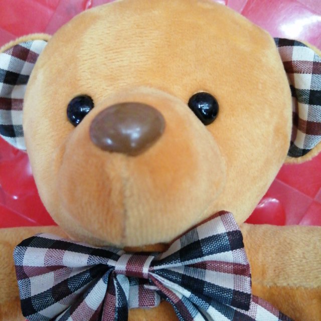 毛绒玩具格子领结熊细节图