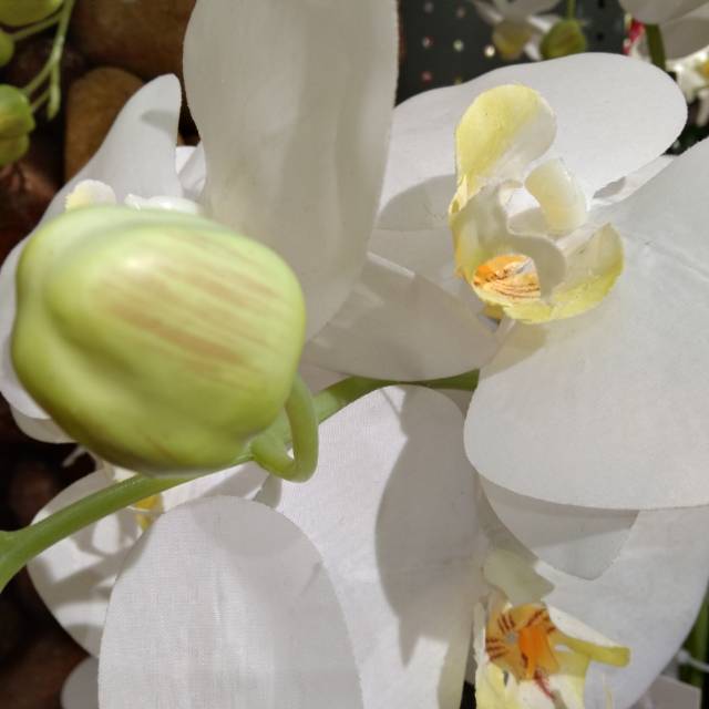 Butterfly flower belt fruit simulation flower decoration, garden pvc plastic, pollution-free, thick density Specification image