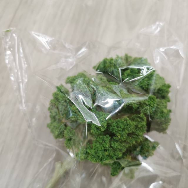 草图大师模型SU园林景观植物花草树木乔木细节图