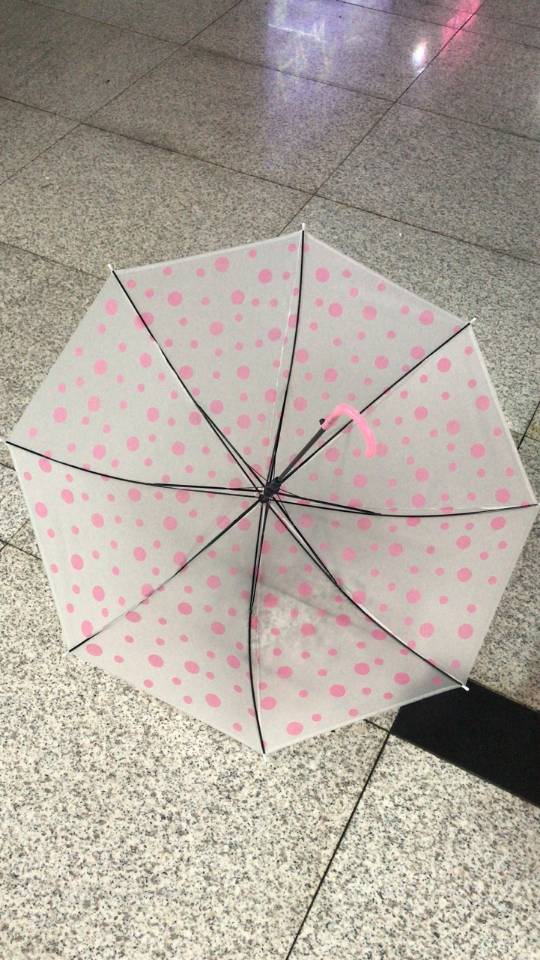 51.5Cm Environment-Friendly Polka Dot Umbrella details Picture
