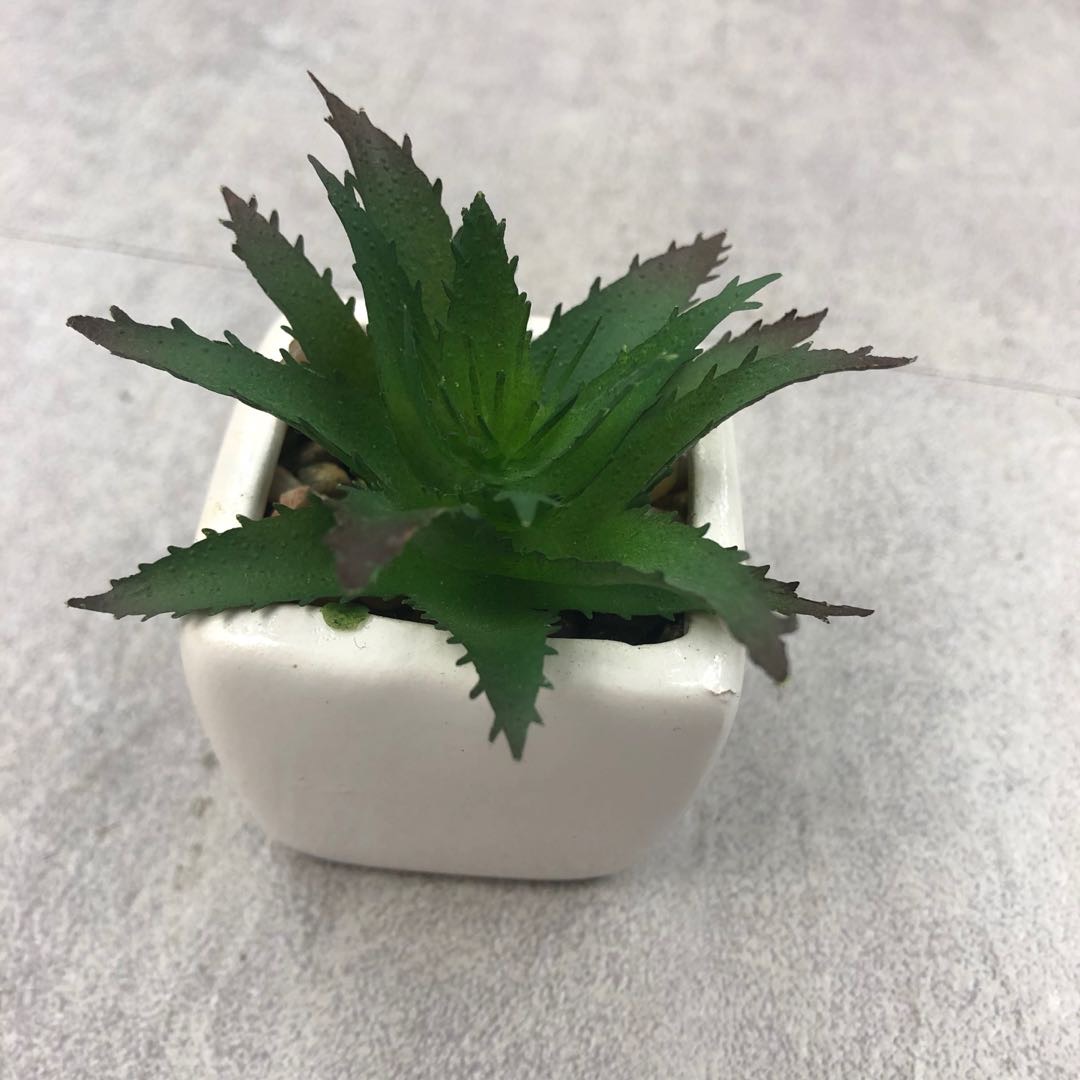 刺尖芦荟仿真植物盆栽家居装饰工艺品摆件