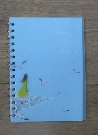 Chengjia Stationery Office Culture Paper Products This Book Coil This Meeting Notepad Student Writing Notebook Coil Book Specification drawing