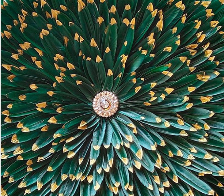 في خلفية غرفة المعيشة الريشة، الرسم اليدوي في الرسم البياني البسيط الحديث على الأرائك details Picture