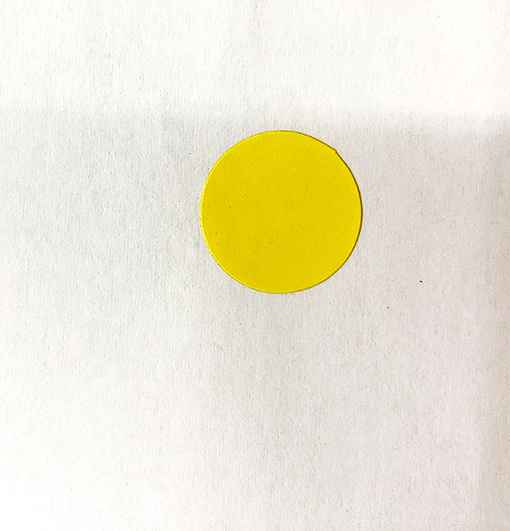 空白圆标不干胶标签贴纸圆形贴颜色分类色标标记贴月份标签色标细节图