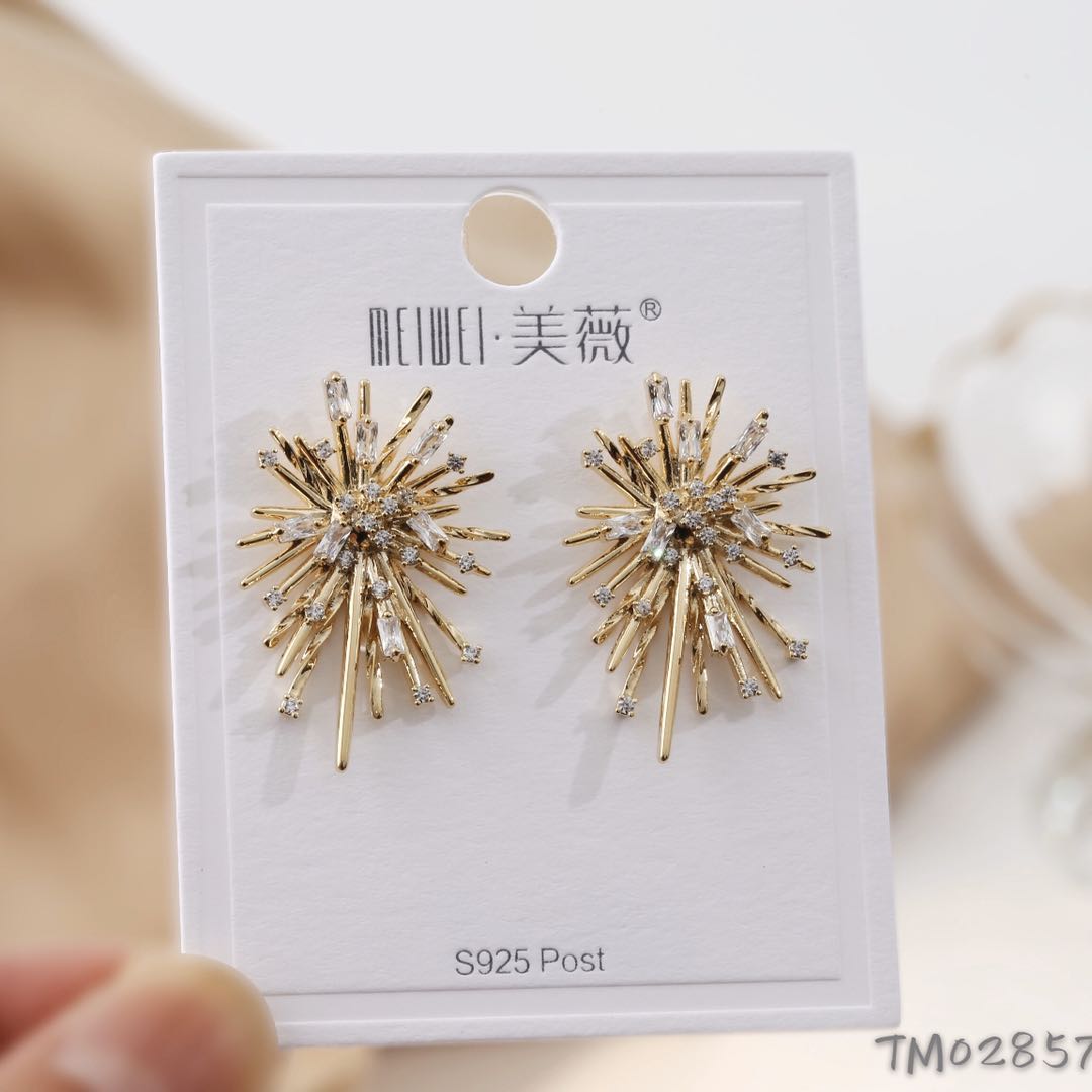 新款韩版烟花锆石耳环爆款潮流超闪甜美风时尚耳环饰品