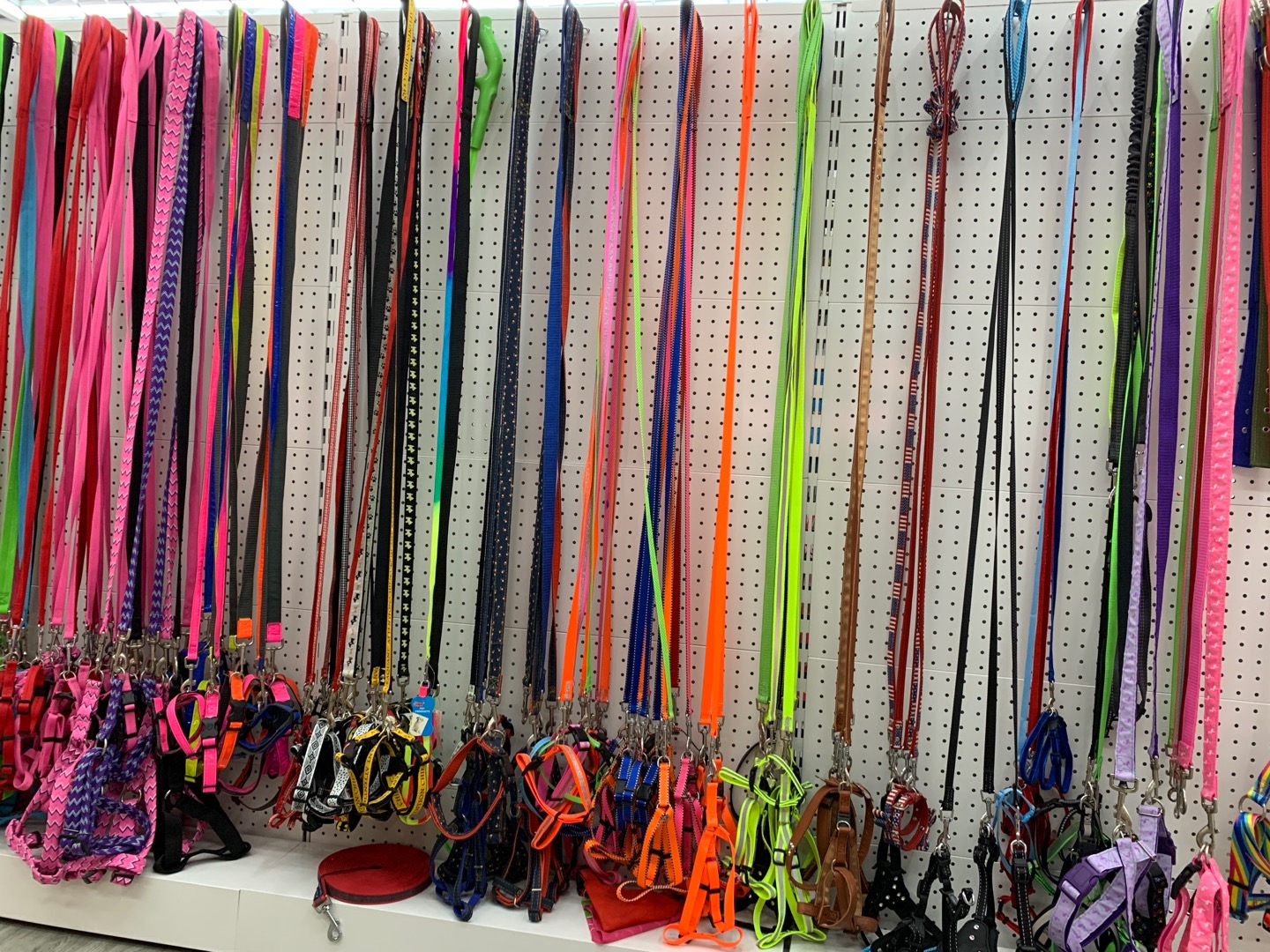 Yijia Pet Supplies Store describe pic - 2