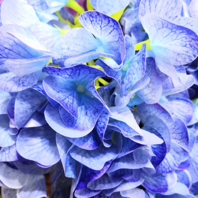 Yiwu high-quality hydrangea artificial flowers, living room, bedroom, TV cabinet, artificial flower arrangement, factory direct sales of artificial flowers details Picture