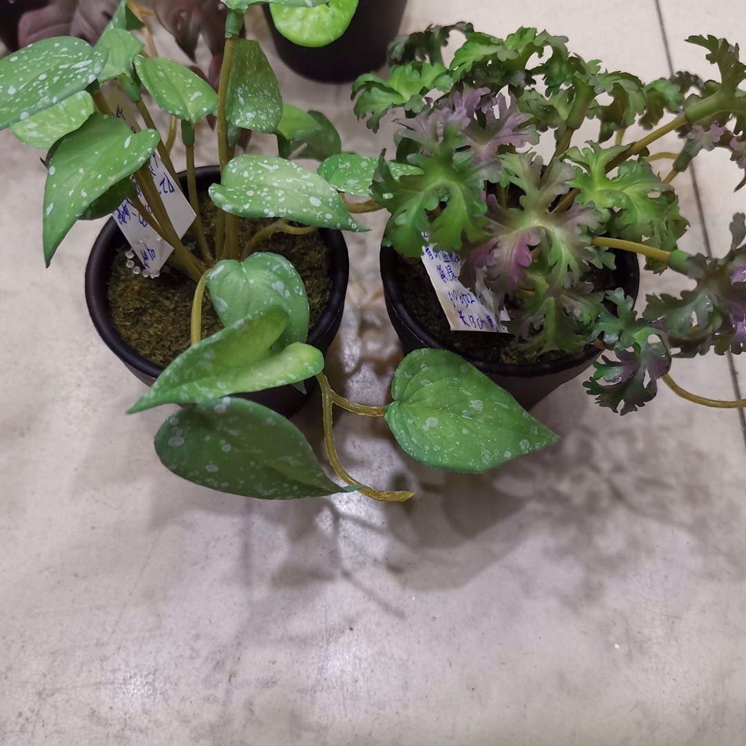 仿真植物带叶塑料盆栽婚庆可混批96pc产品图