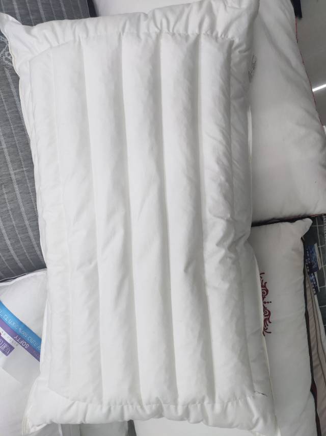 pure white buckwheat health comfortable sleeping pillow