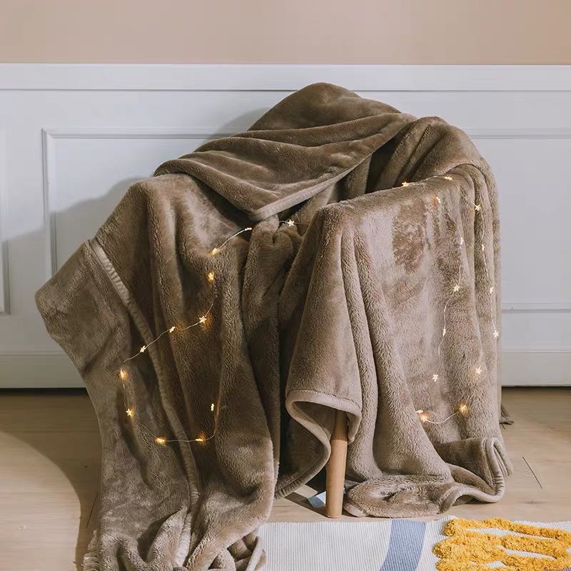 加厚法兰绒拉舍尔毛毯被子冬季宿舍珊瑚绒毯子保暖双层毯细节图