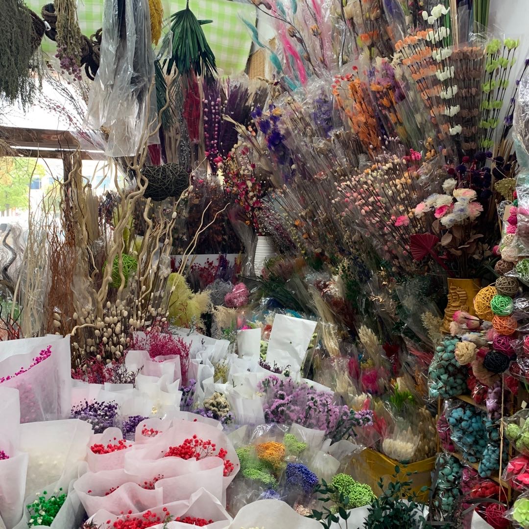 Moonlit dried flowers describe pic - 2