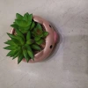 Simulated succulent potted plants, simulated succulent home decoration photography props 48pc details Picture
