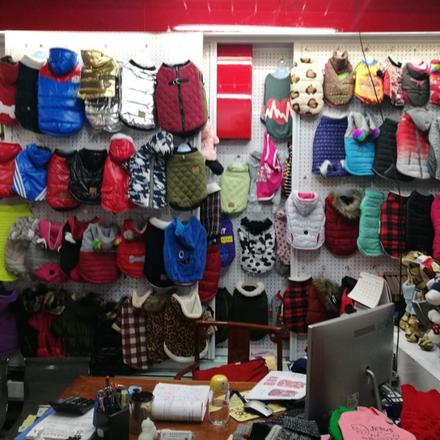 Xinxing Pet Products Co., LTD describe pic - 1