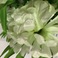 仿真花假花餐桌卧室客厅装饰品白色花摆设花酒柜创意摆件工艺品塑料花产品图