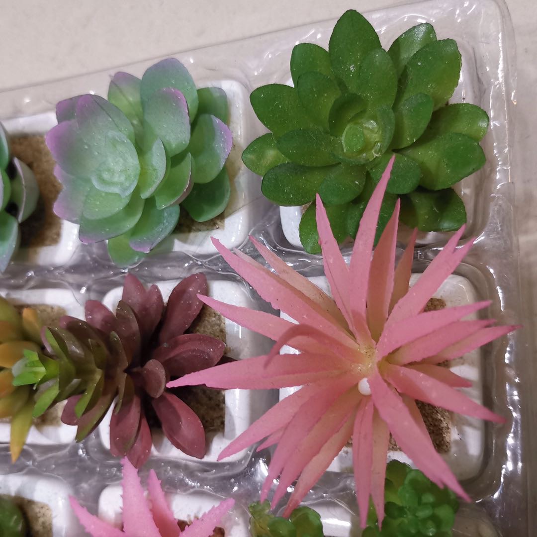 迷你陶瓷多肉仿真田园小清新192pcd装仿真细节图