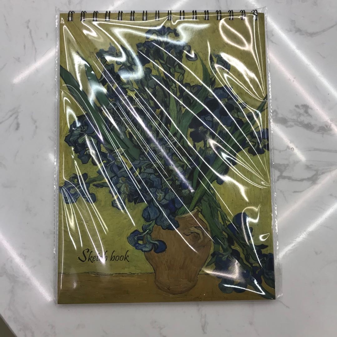 Chenxuan Stationery Art Drawing Office Coil Note Book College Students Small Fresh Side Turn B5 Spiral Thickened Stationery Girl's Cartoon Cute Creative Retro Art Beautiful Simple Super Cute Girl Heart Delicate