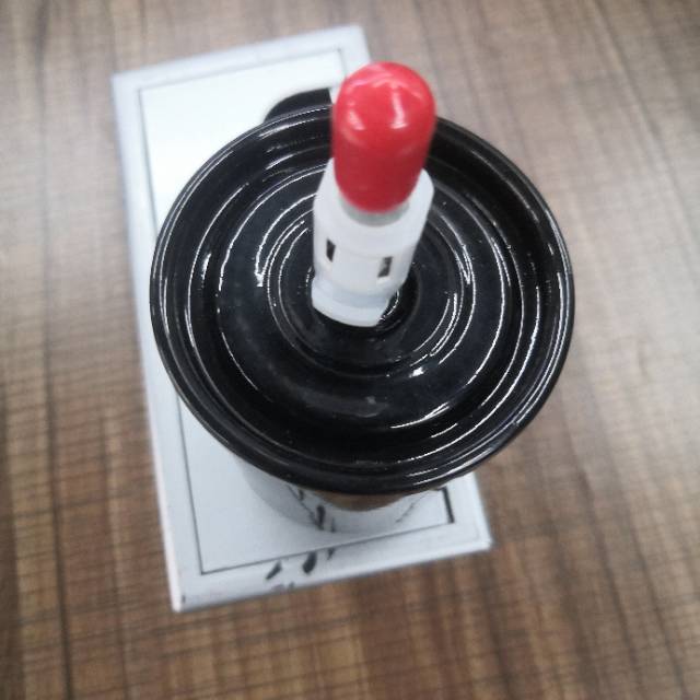 DIY car maintenance showing fuel filter replacement