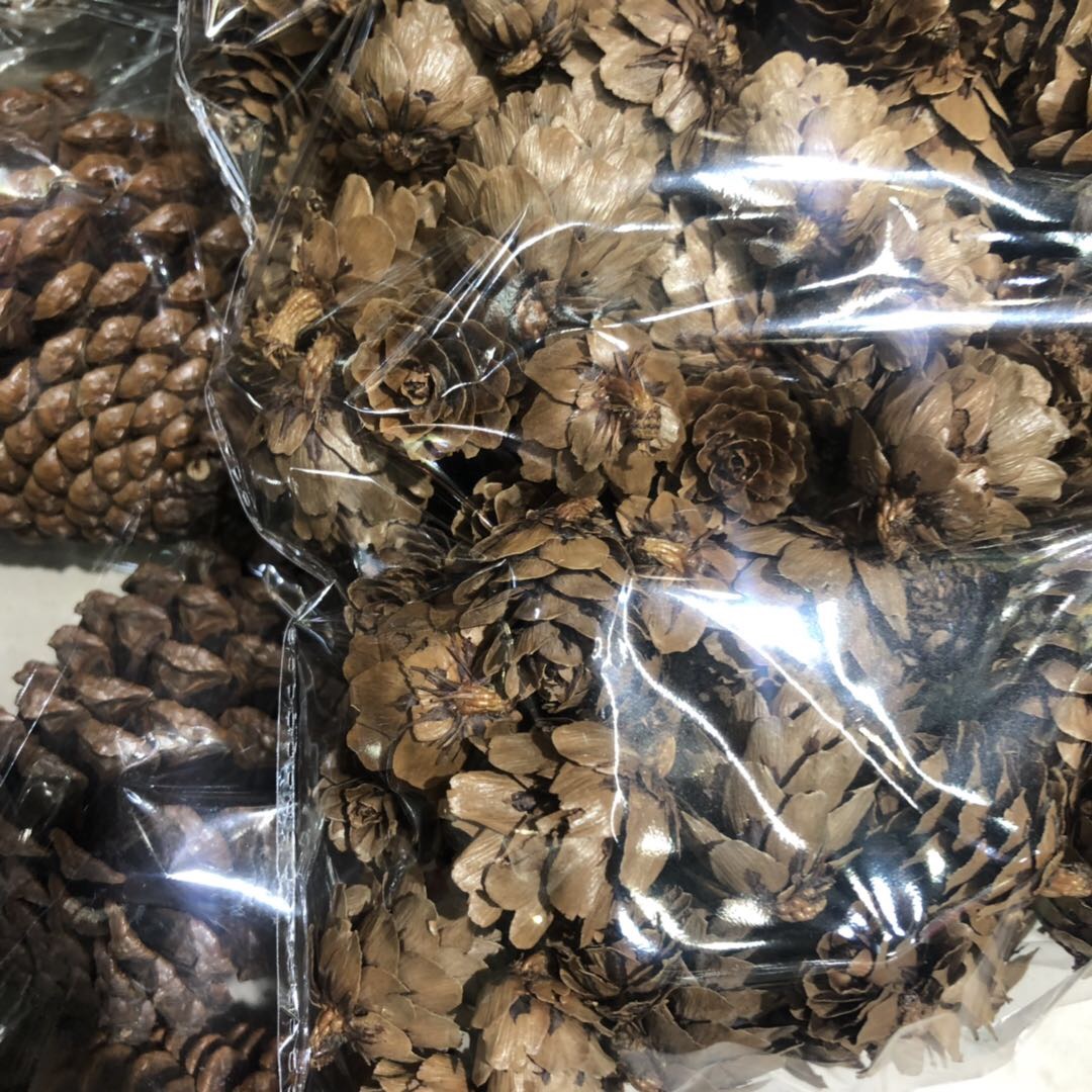 供应松球本地松鱼鳞松果多款干花包装饰材料树皮木丝填充蛤蟆藤细节图