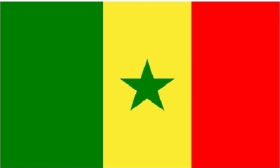 世界各国国旗塞内加尔国旗 4号国旗详情图1