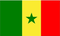 世界各国国旗塞内加尔国旗 4号国旗图
