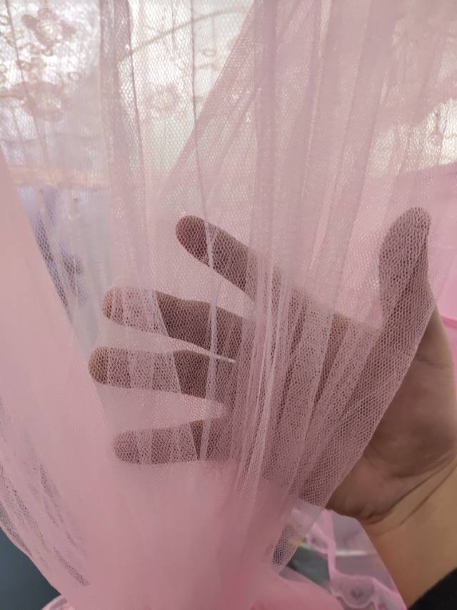 Pink Fringe Peaked Dome Tent Mosquito Net Round Tent details Picture