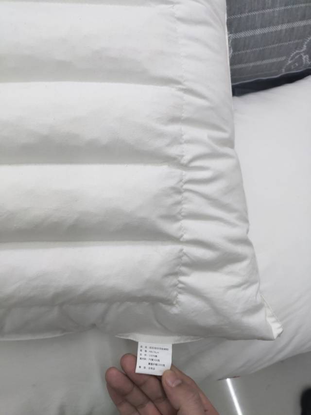 Close-up of the buckwheat pillow fabric texture and filling detail