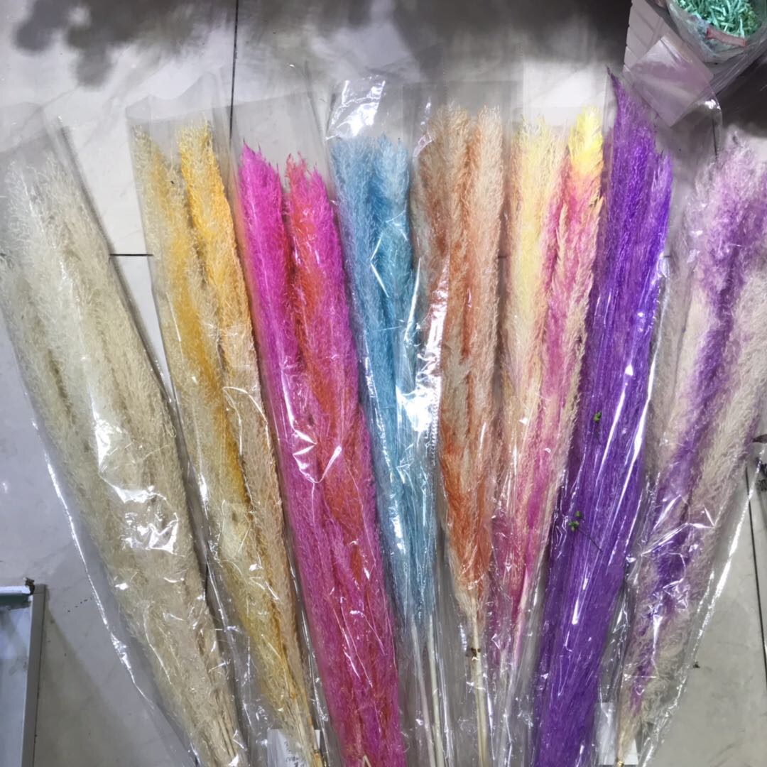 Web celebrity ins wind decoration pink large reed dried flowers window display living room floor furniture natural pampas reed thumbnail