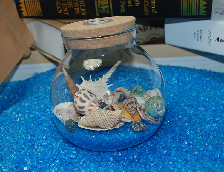 地中海贝壳海螺水族箱造景鱼缸装饰摄影道具精美天然工艺扇贝图